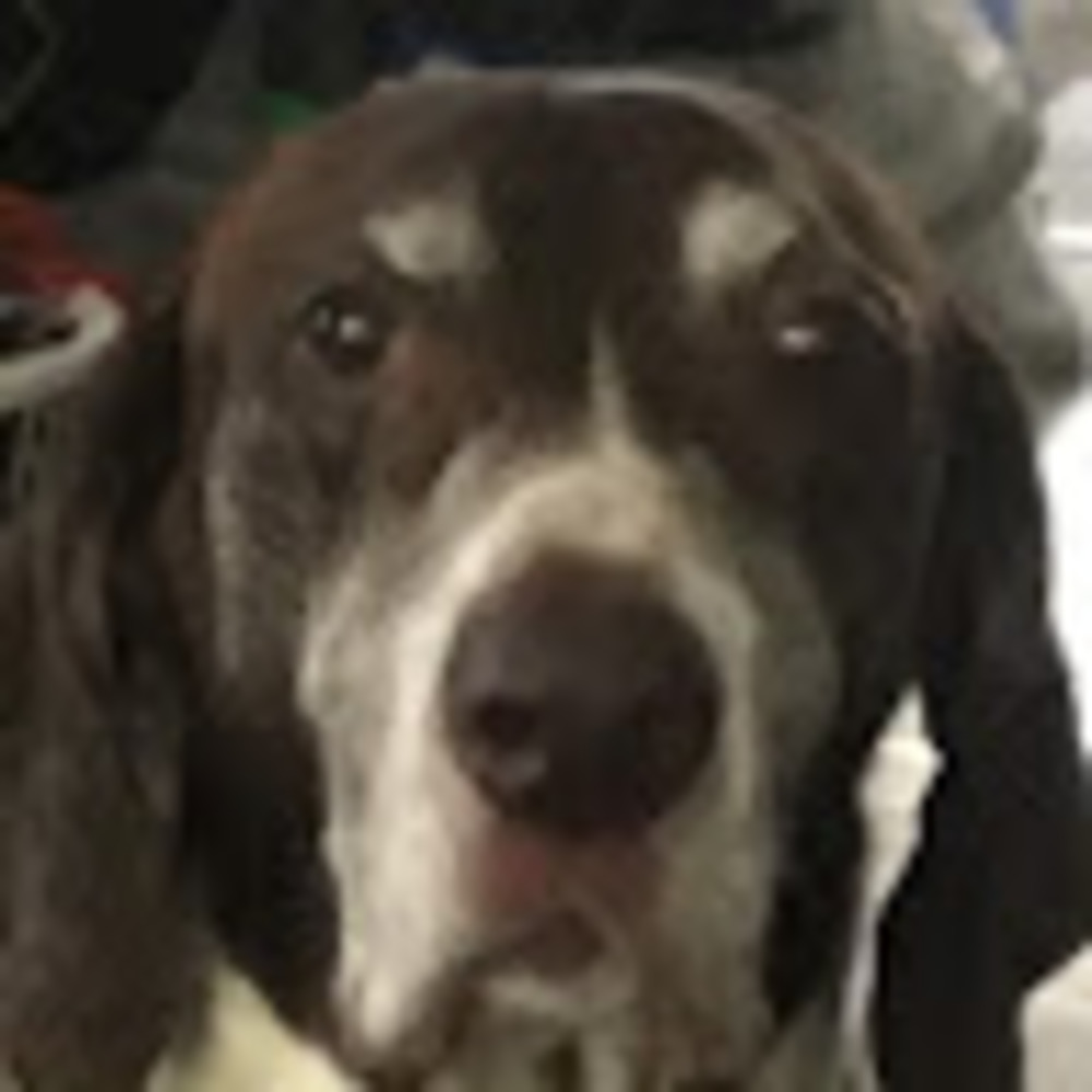 Meet your Posher, Ryton